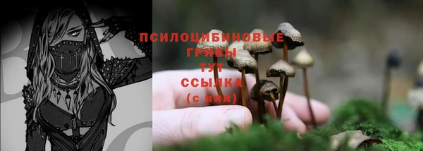 винт Армянск