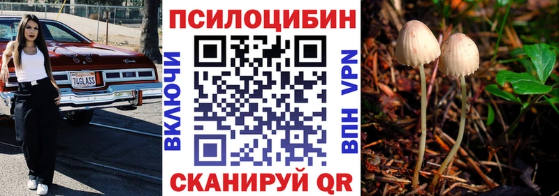Галлюциногенные грибы Psilocybe  Плавск 